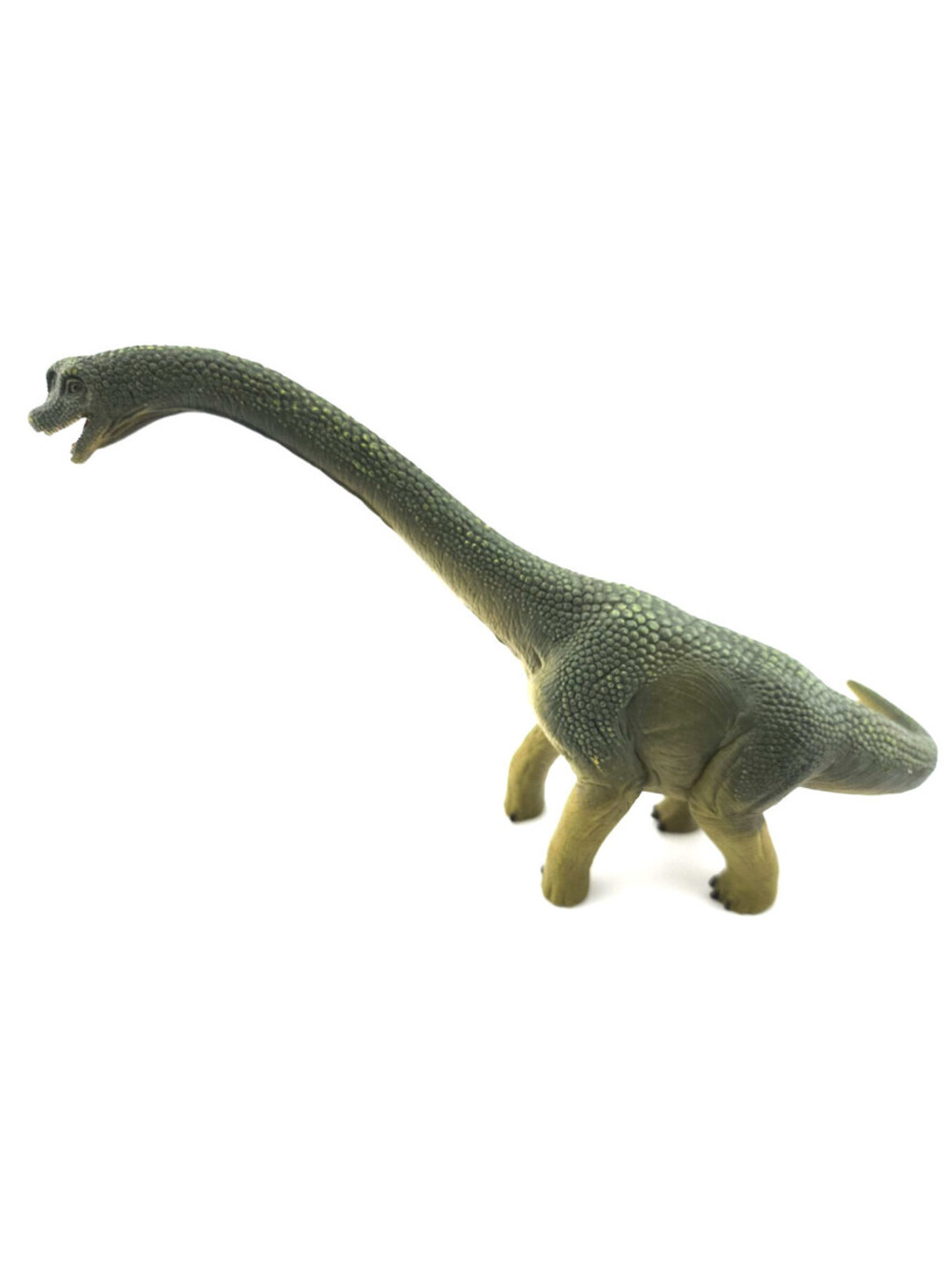 Schleich Brachiosaurus Dinosaur Figure – 2016 – Green Sauropod